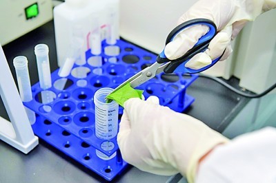 バビオのグラムステインキットで簡単にした信頼できる細菌の識別