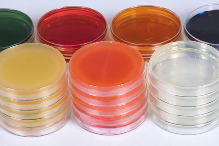 BABIOによる高品質のSapouraud Dextrose Agar（SDA）