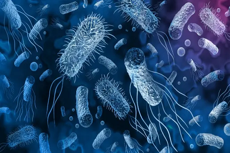 Babioは、Vibrio Cholerae Rapid抗原検出キットを発売します