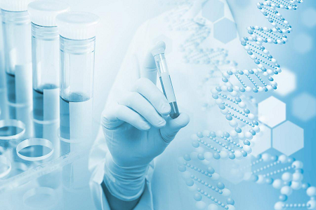 寒天培地 B (カゼイン大豆ダイジェスト寒天) – 微生物培養のための信頼できる選択肢