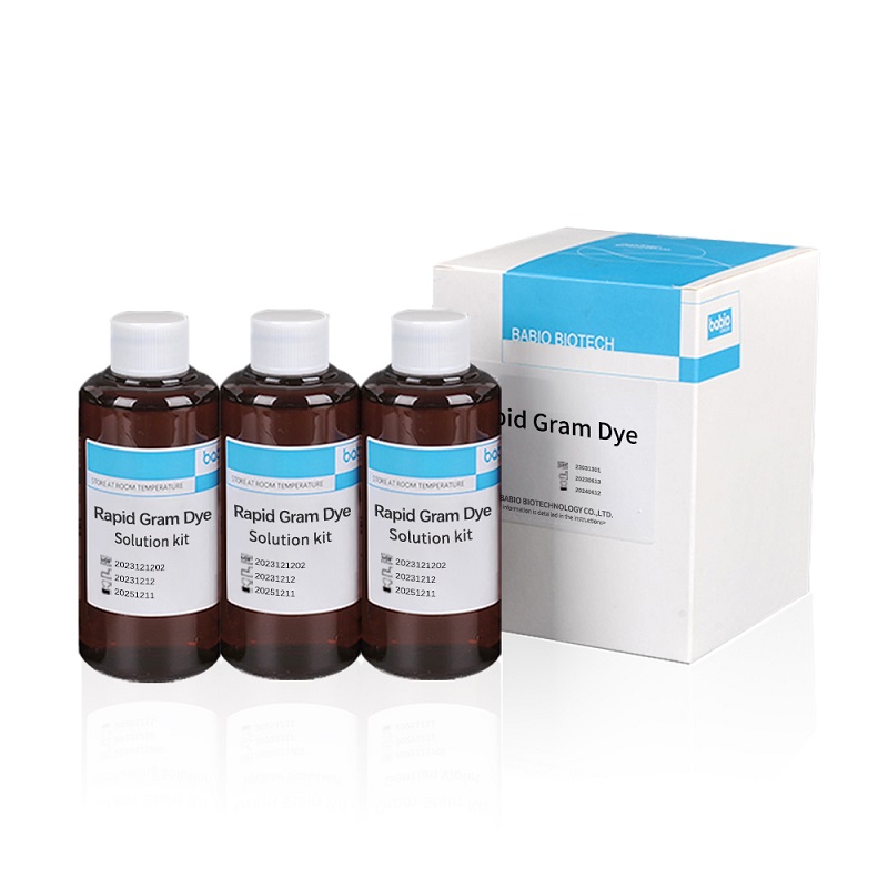 Rapid Gram Dye Solution キット